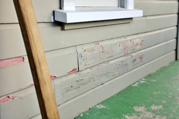 Best Siding for Commercial Buildings  in USA